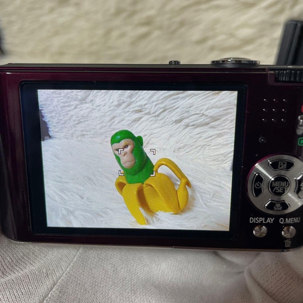 Panasonic LUMIX DMC-FX60 Retro Compact Digital Camera Excellent Condition