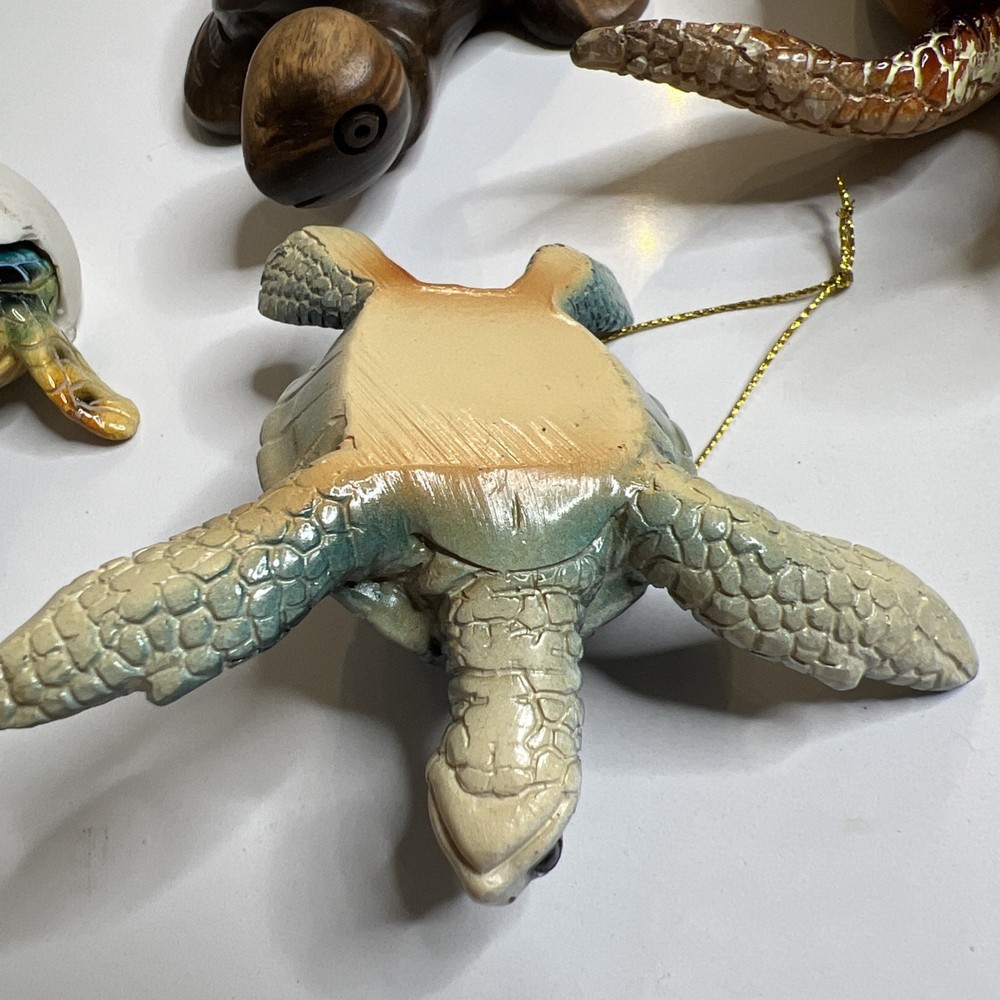 Turtles 5 Pieces Sea Turtles