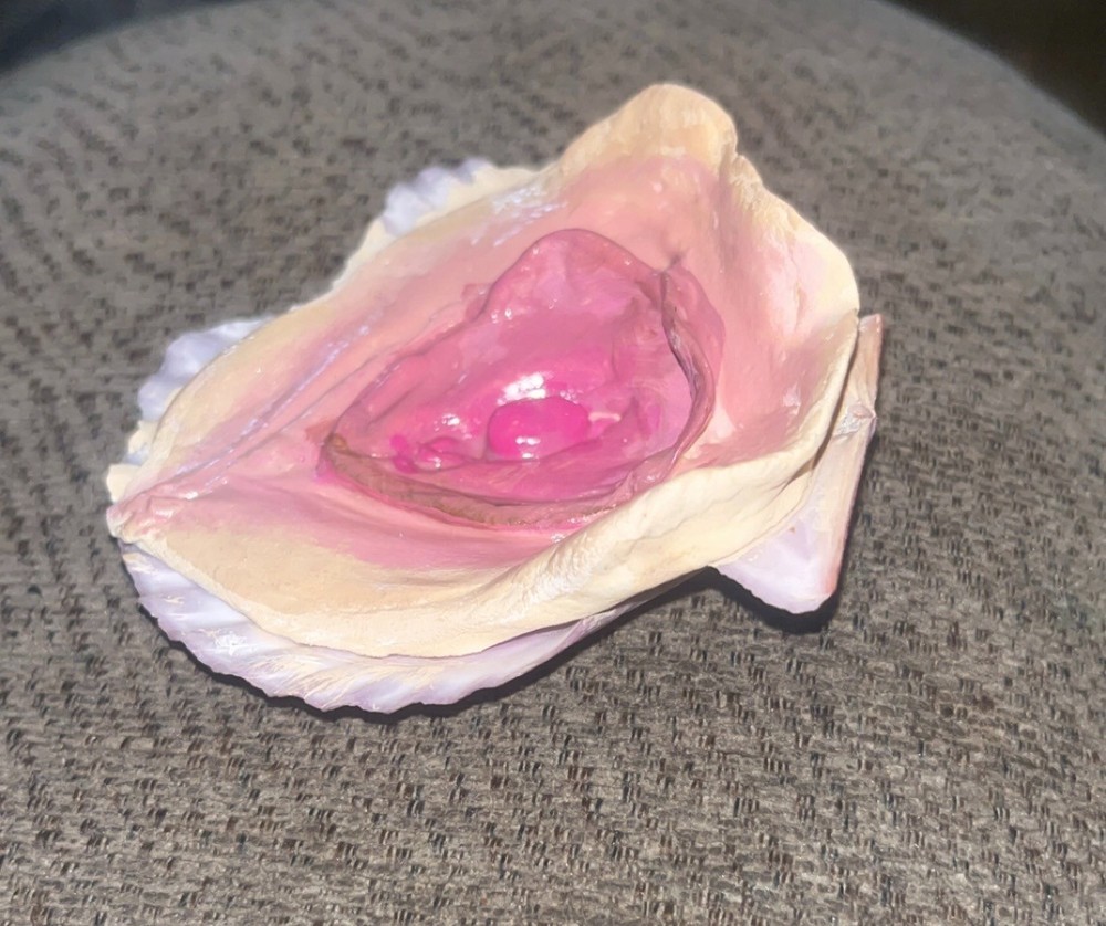 SheShell ooak oddity seashell vagina handcrafted