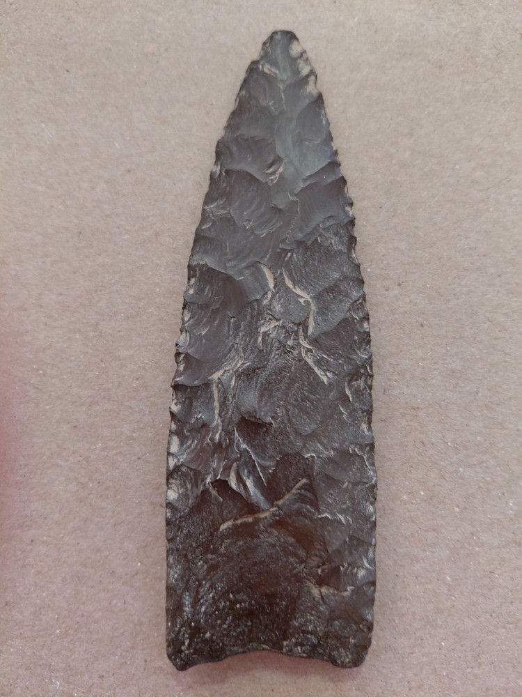 Nice Large Paleo Plainview Point Arrowhead (Modern)
