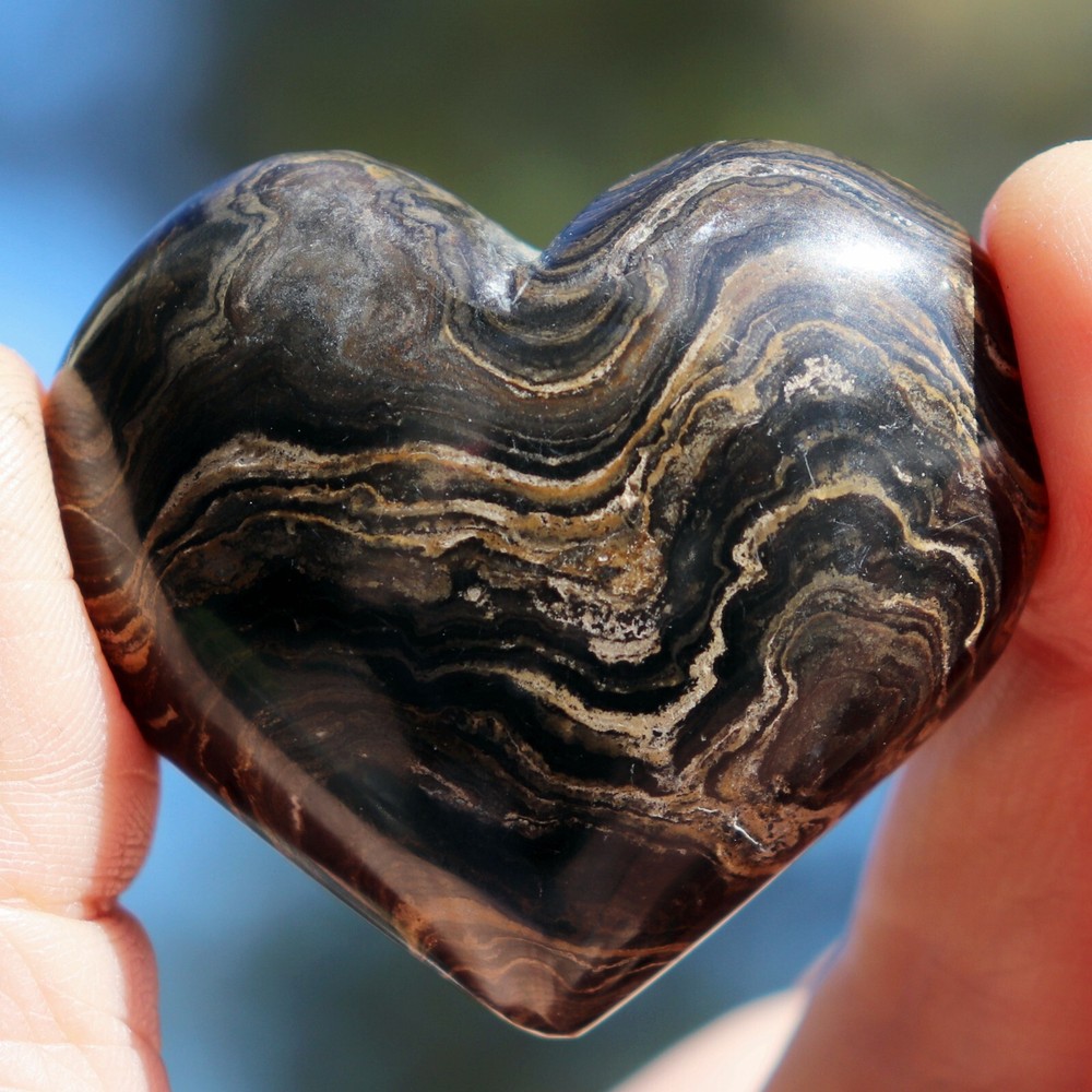 Polished Stromatolite Heart (MSC33)