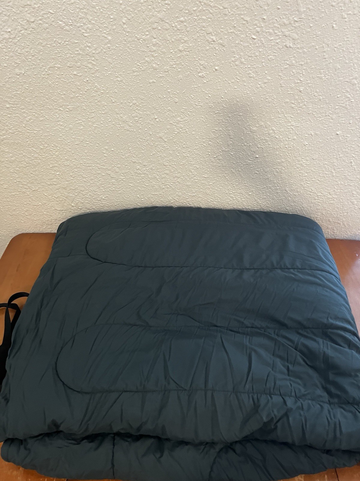 LL Bean 20° Camp Bag Sleeping Bag Green Gray Camping Sleeping With Container