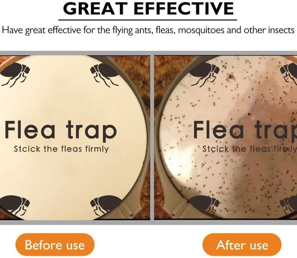 Flea Trap Refills 10 Packs, Flea Trap for inside Your Home, Replacement Pads for