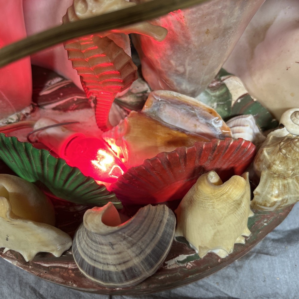 Handmade Sea Shell Display With Light