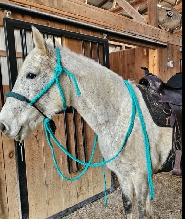 Turquoise Mule tape Loping Hackamore 7' Reins