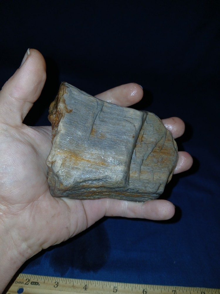 14 oz Texas Petrified Wood