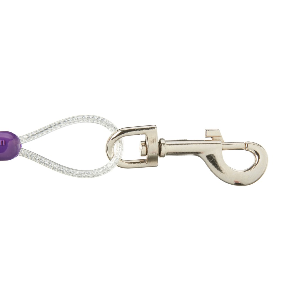 Vibrant Life Tie Out, Small,Portable