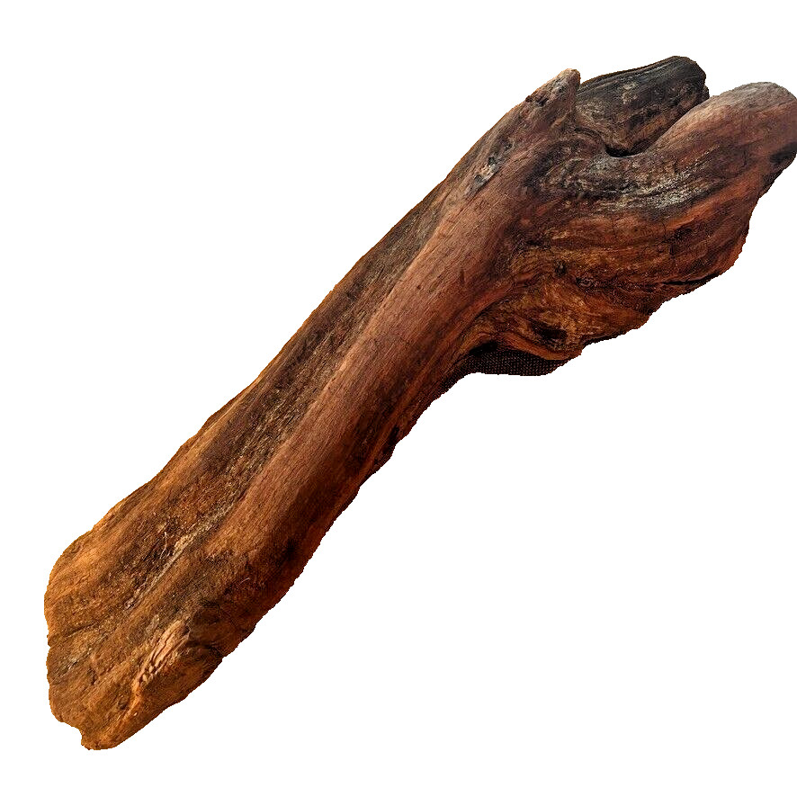 18" x 5" Redwood Driftwood Organic Craft Aquarium Rustic Boho Natural Wood