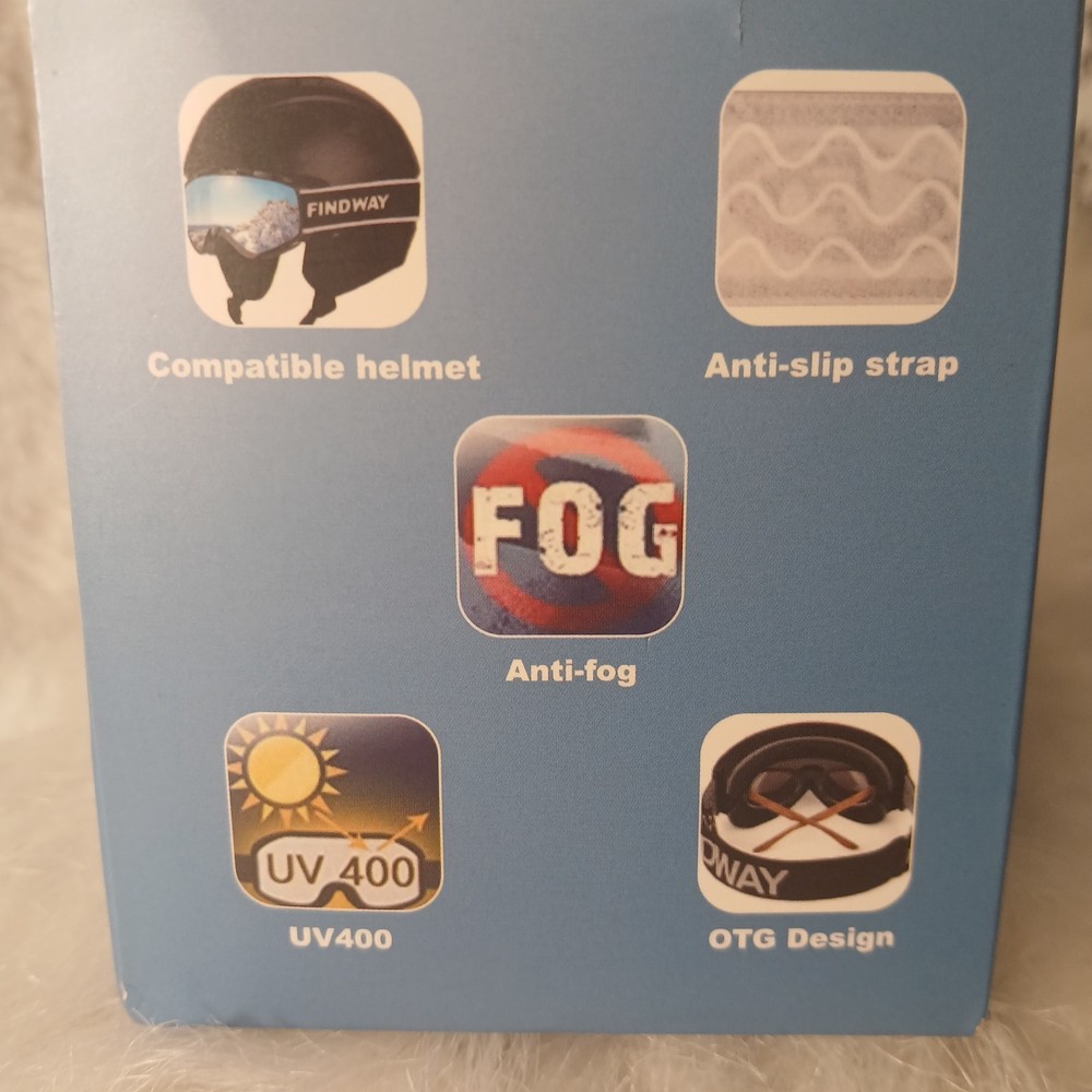 Ski Goggles