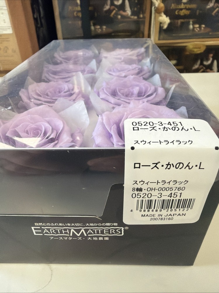 Preserved Roses "Kanon" L size