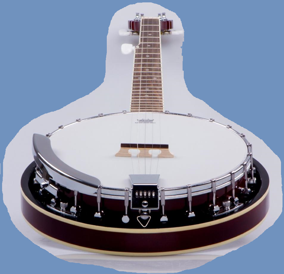 Weifang Rebon Sapele Five String Banjo