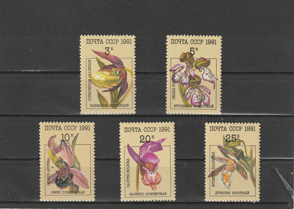 USSR Mi. No. 6192-6196.---1991.      T-31