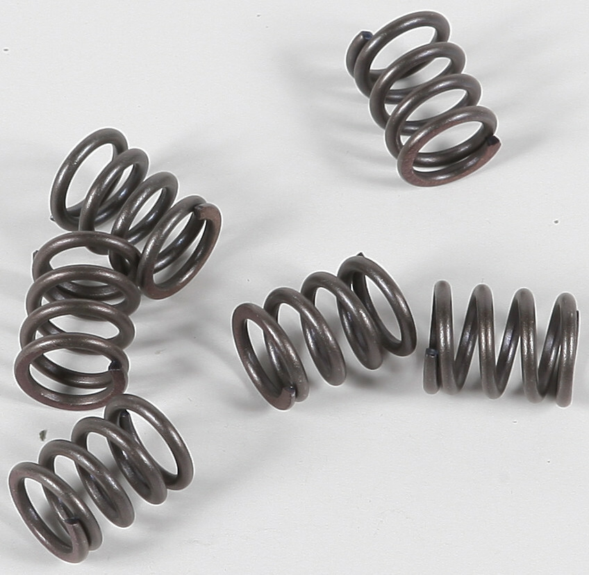 EBC CSK Clutch Spring Kit | CSK21