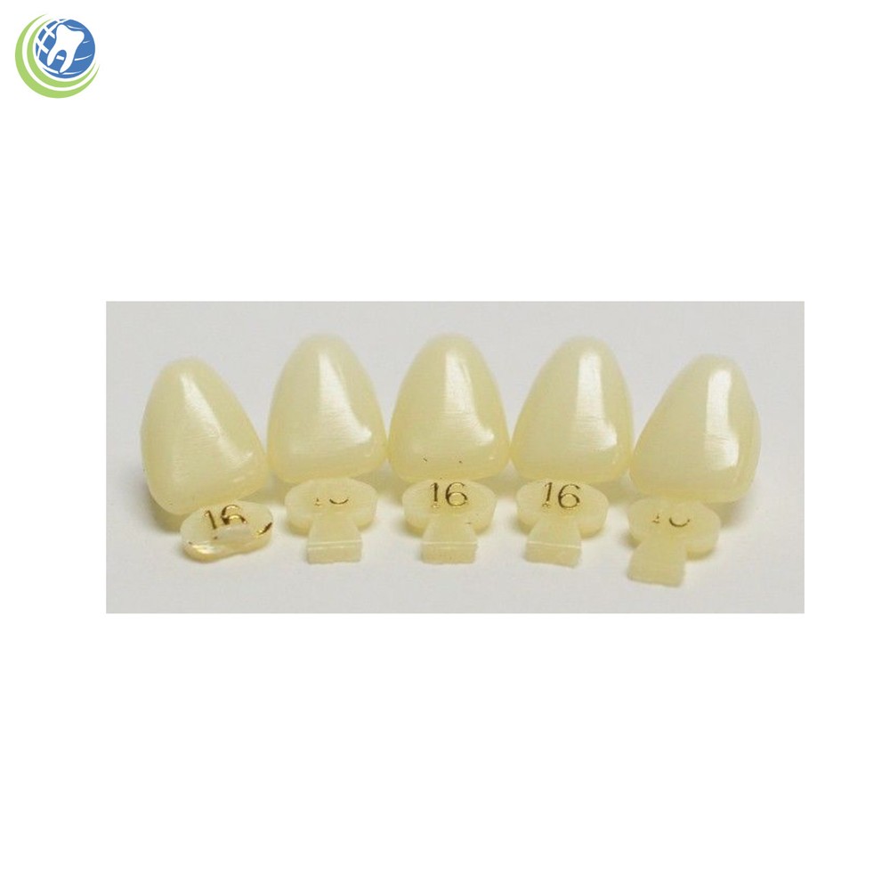 DENTAL POLYCARBONATE TEMPORARY CROWNS #16 (ULC) UPPER LEFT CENTRAL 5/PACK