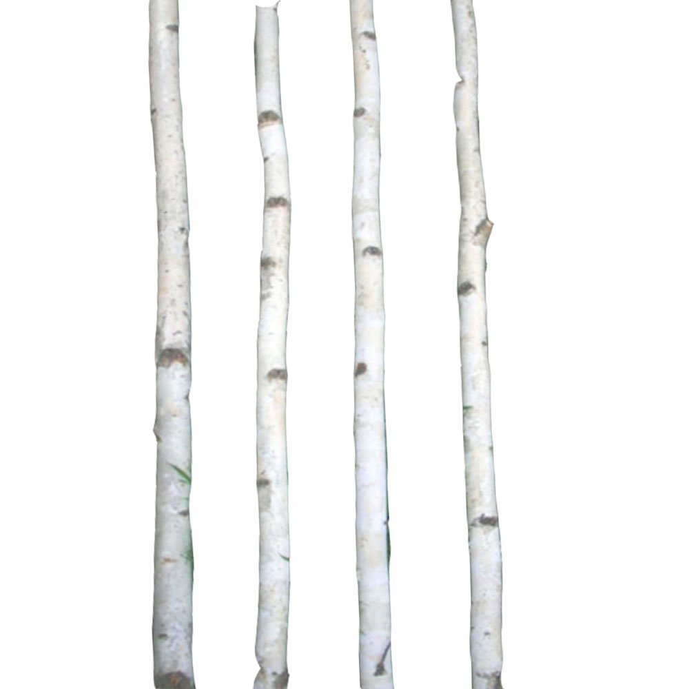 4 Thin White Birch Poles 4'