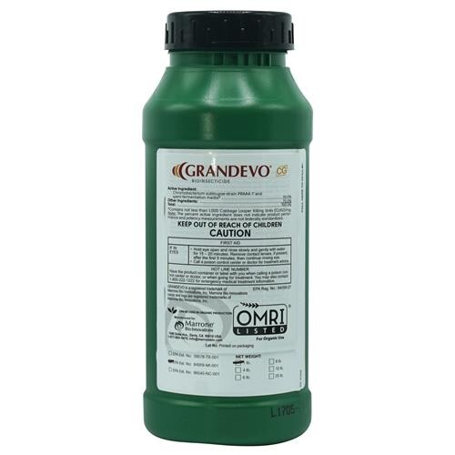Grandevo / 1 lb