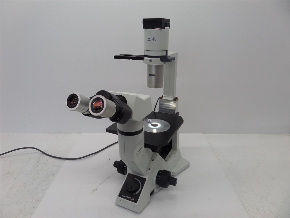 Olympus CKX41 Inverted Phase Contrast Microscope