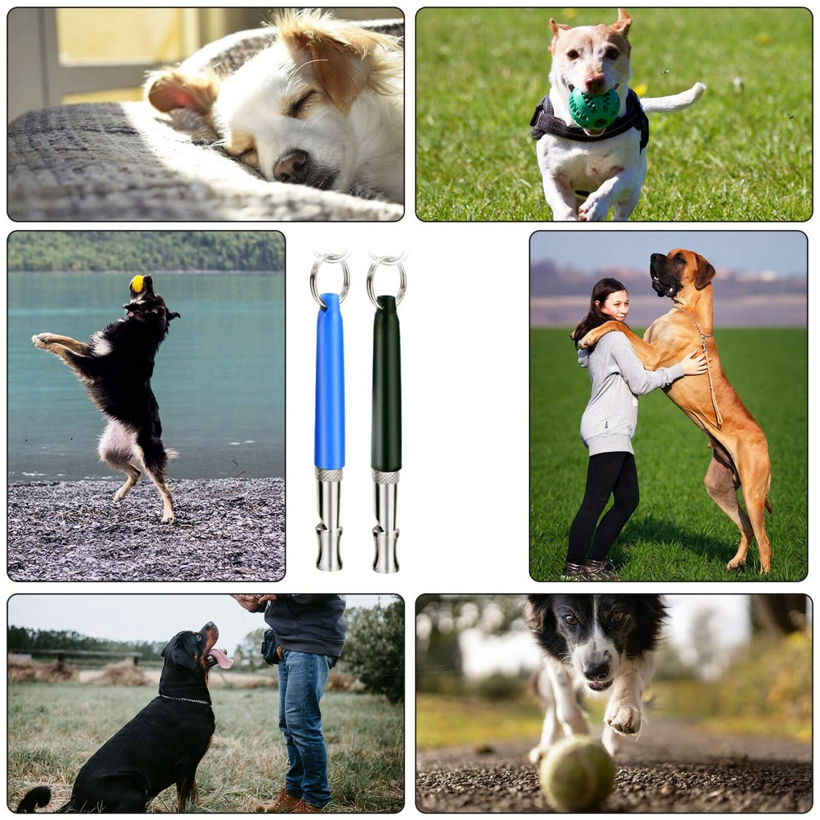2pc Dog Training WHISTLE UltraSonic Obedience Stop Barking Pet Sound Pitch Black