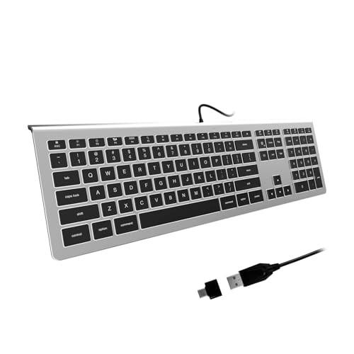 USB Wired Keyboard with White Backlight, Keyboard for Mac Silver Grey