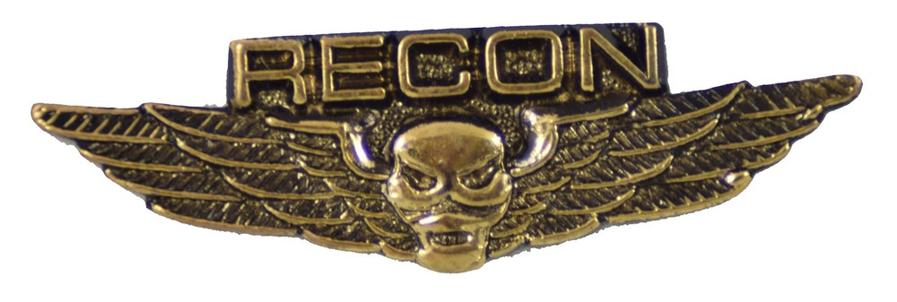 RECON WING HAT PIN