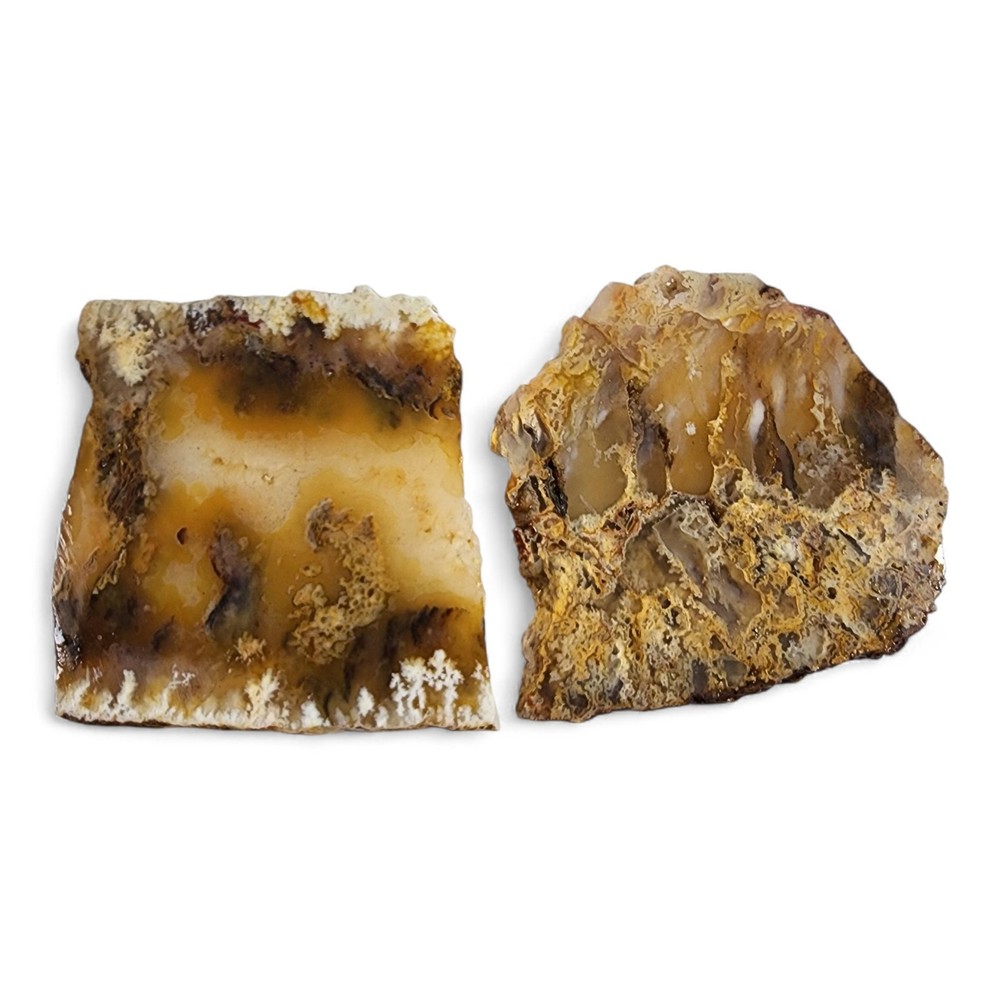 Plume Agate Slabs Oregon 94.1 grams.