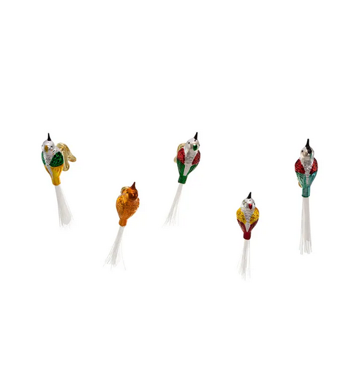 KURT ADLER BOX SET OF 5 EARLY YEARS 4.5" GLASS CLIP-ON BIRD XMAS ORNAMENTS C1929