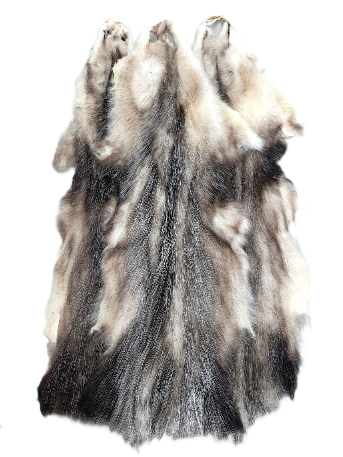 Opossum, Open Tanned-VERY Well Furred