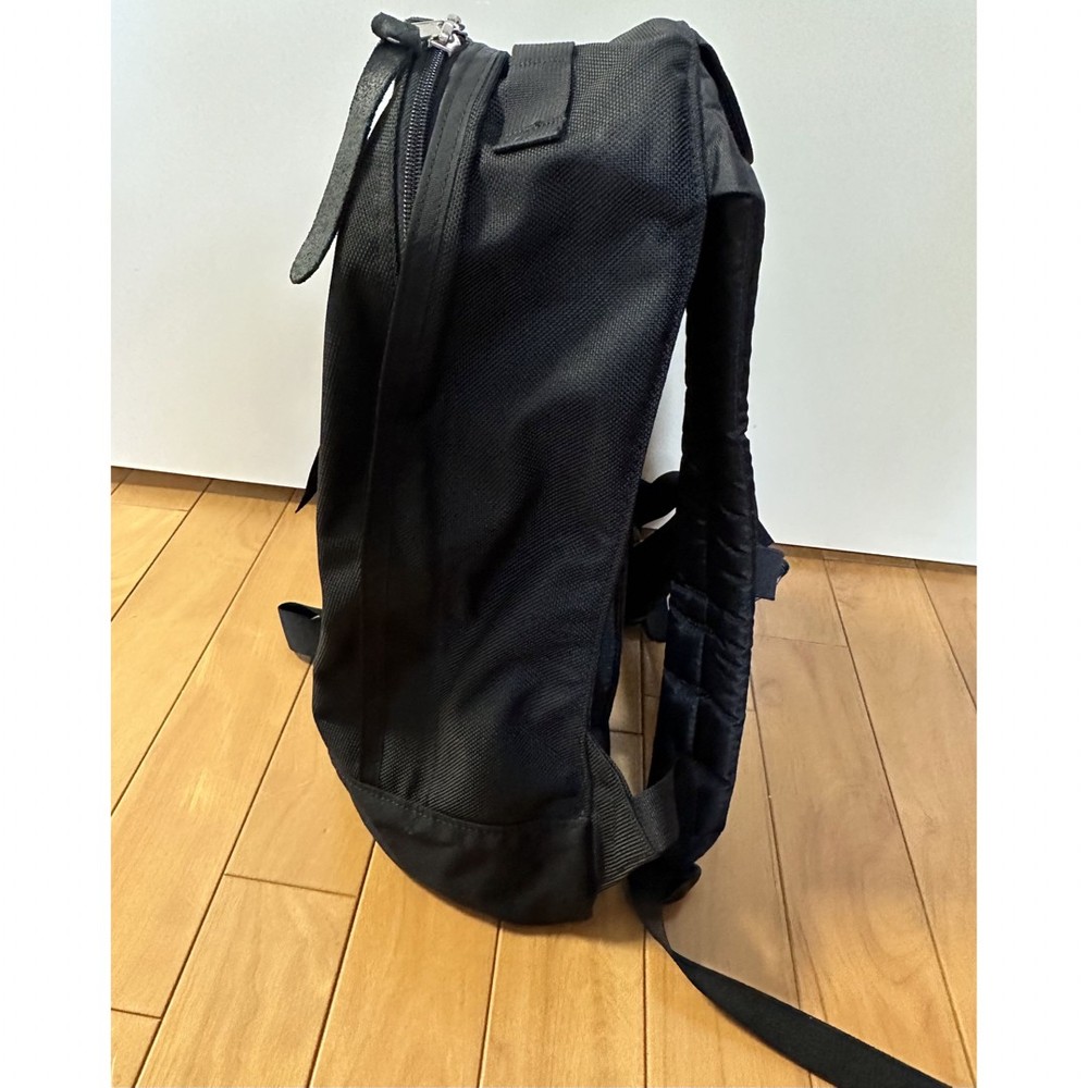 Gregory Fine Day Backpack Black Used From Japan