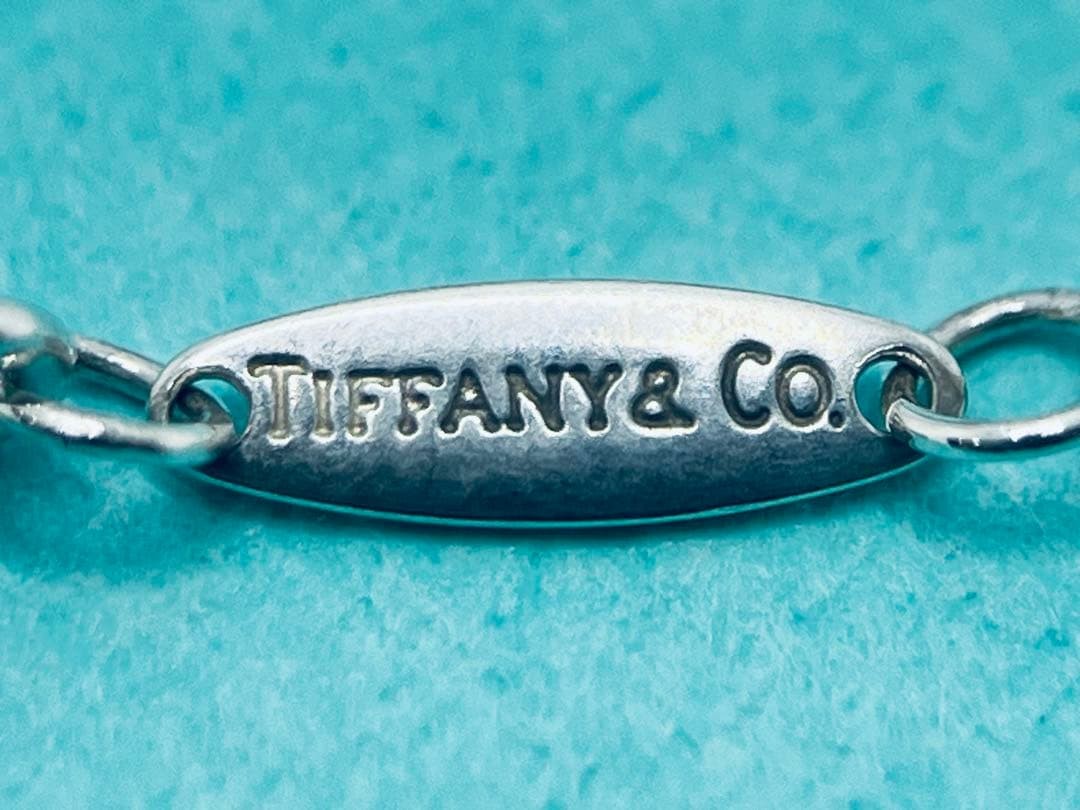 h887 Excellent condition Tiffany & Co. By the Yard diamond necklace, sterling