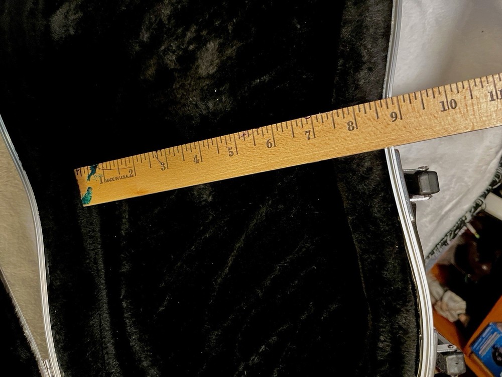 BIG Viola Thermoplastic Hard case