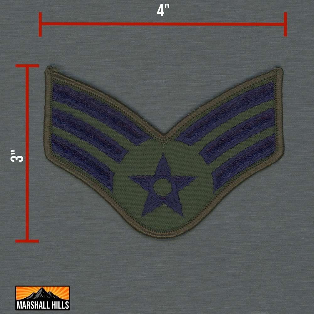 USAF U.S. Air Force Enlisted Service Patch (PA-2)