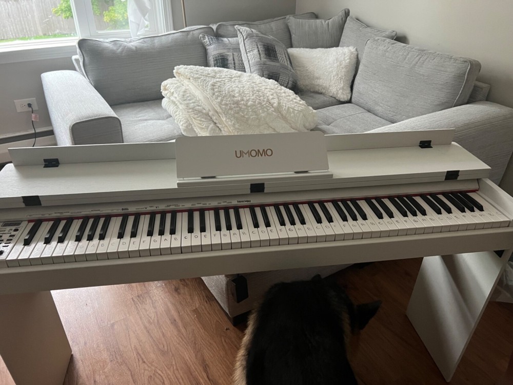 88 key digital piano weighted keys (white)