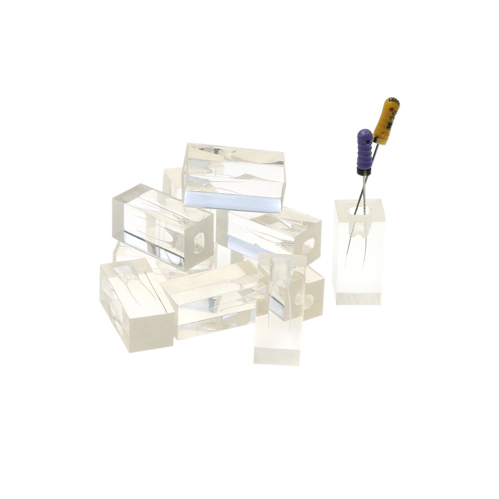 10Pcs Dental Endodontic Study Practice Operation Tooth Model Clear Root Canals