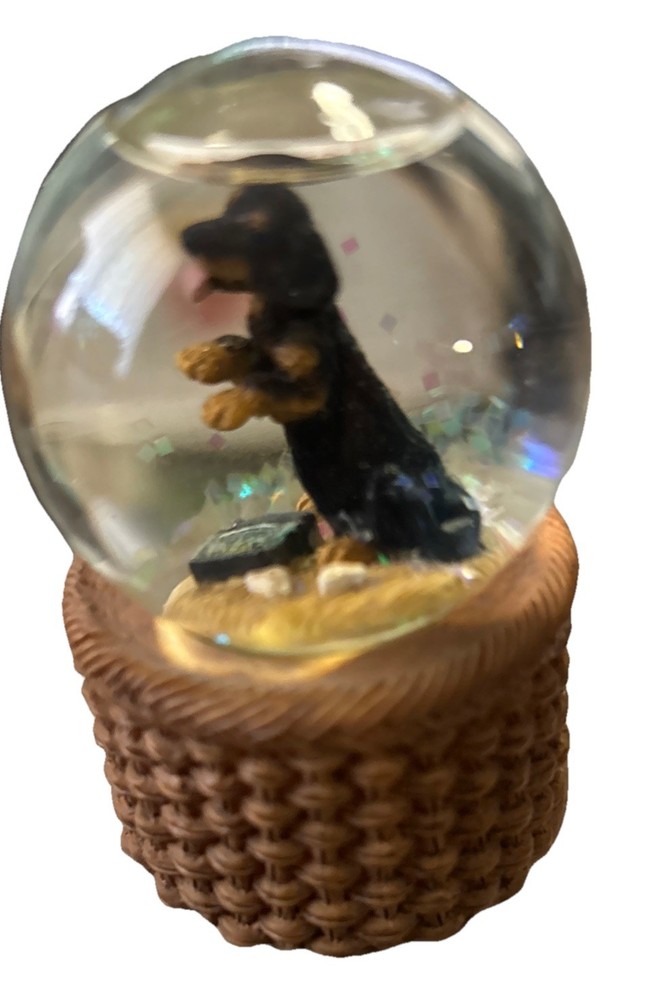 Encore Mini Snow Globe With Black Dachshund