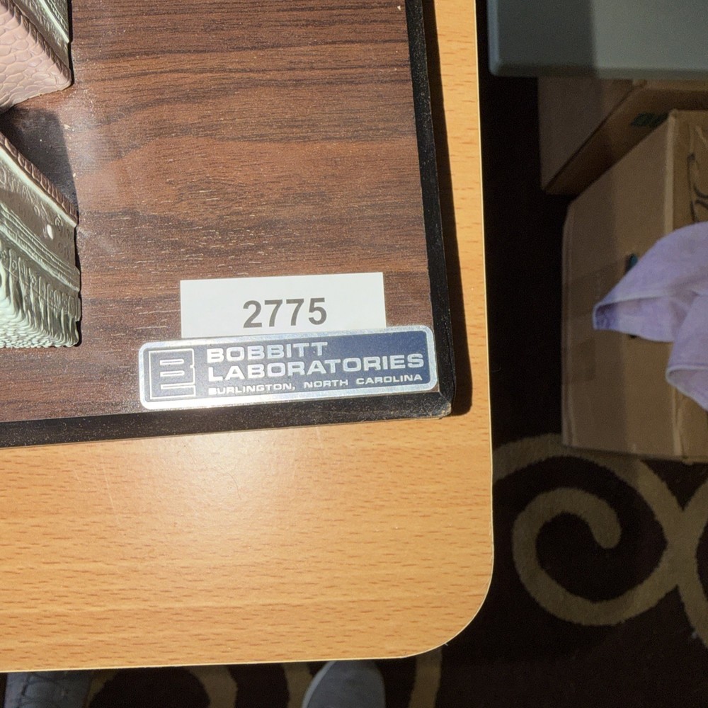 Anatomical Model Planarian Flatworm Bobbitt Laboratories