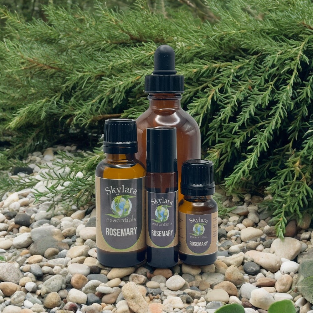 Rosemary - Moroccan Essential Oil