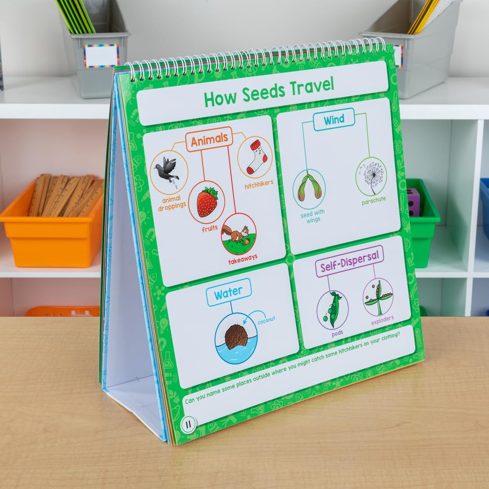 Really Good Stuff Science Flip Chart Primary