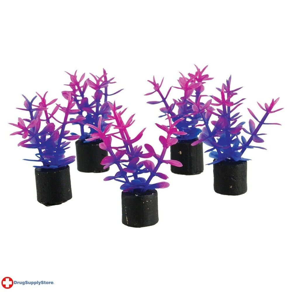 RA Mini Plant - Violet - 1.5" - 5 pk