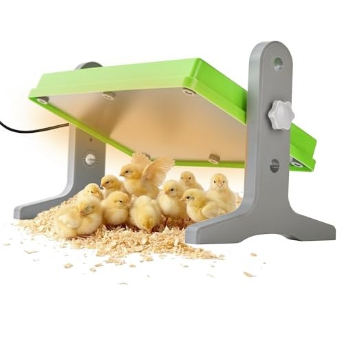 Adjustable Chick Brooder Heater 12x8 for Ducks, Birds & Chicks - Temperature Con
