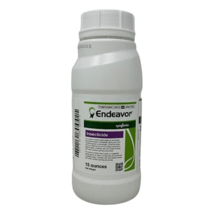 Endeavor 15oz