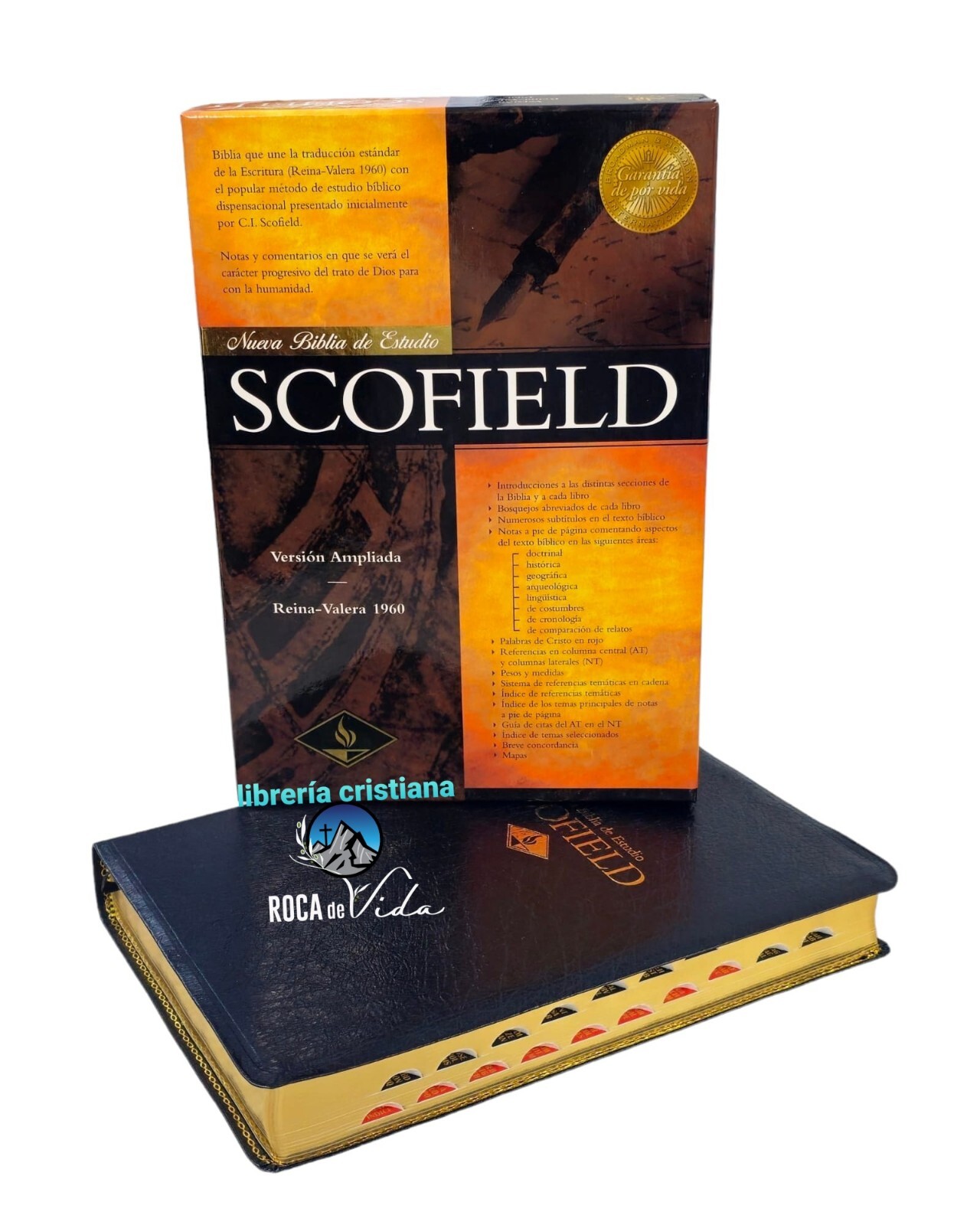 Nueva Biblia De Estudio Scofield RVR.1960 Ampliada Piel Genuina Negro Índice