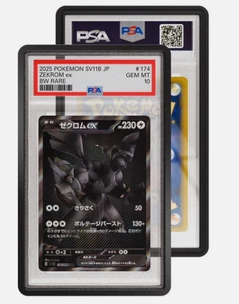 GradedGuard PSA Graded Card Case Guard Protector - Obsidian