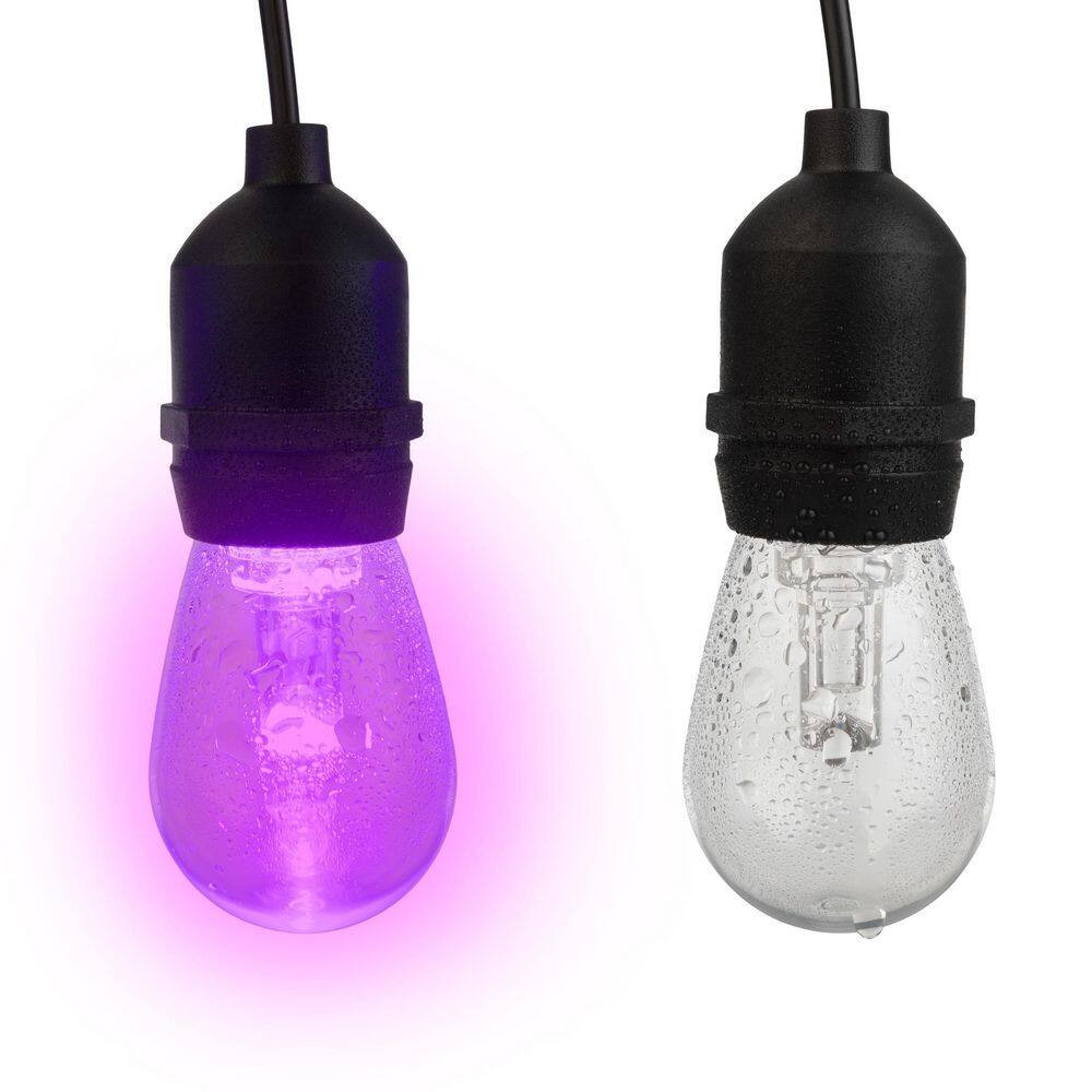15 Edison String -Light - 50 Ft. Outdoor Plug-In Color-Changing Integrated LED E