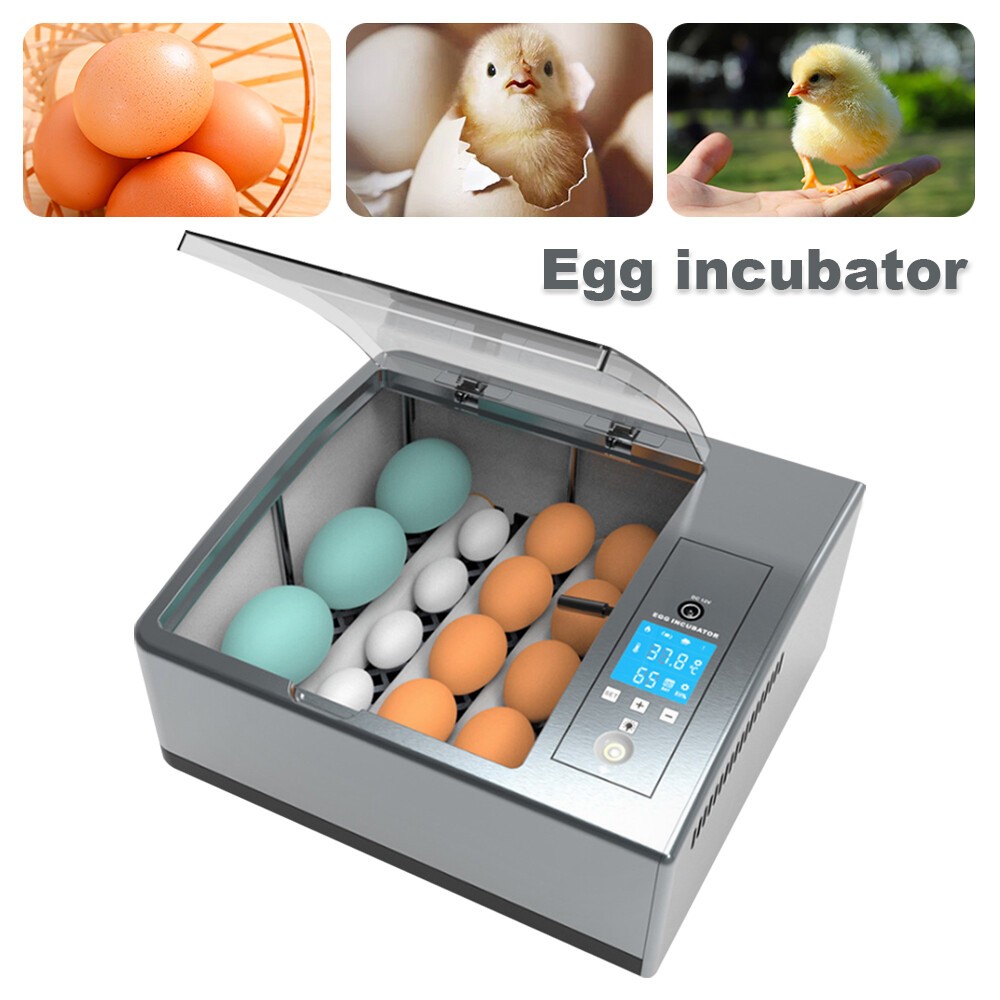 ✅16 Eggs Egg Incubator for Hatching Egg Full Automatic Turning Duck Chicken Egg
