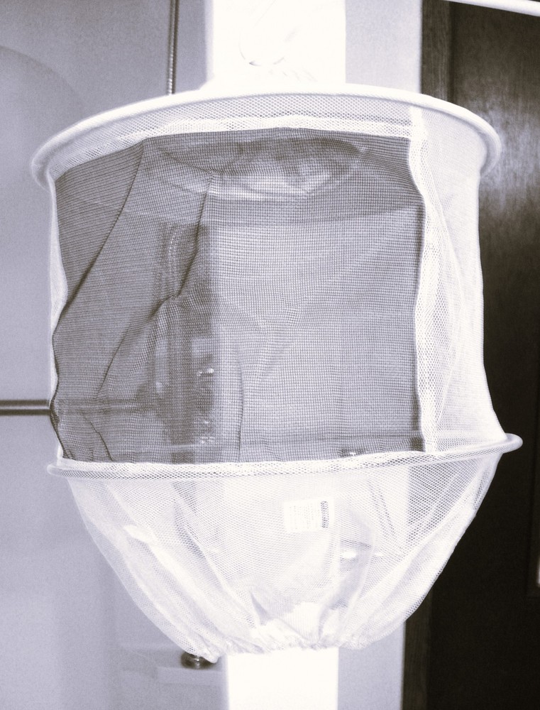 Little Giant Beekeeping Veil with Hat