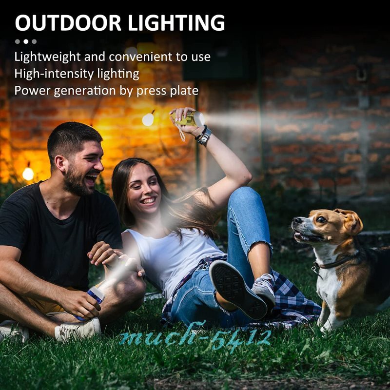 Hand Crank Pressing Dynamo Portable LED Camping Flashlight Manual Torch Light