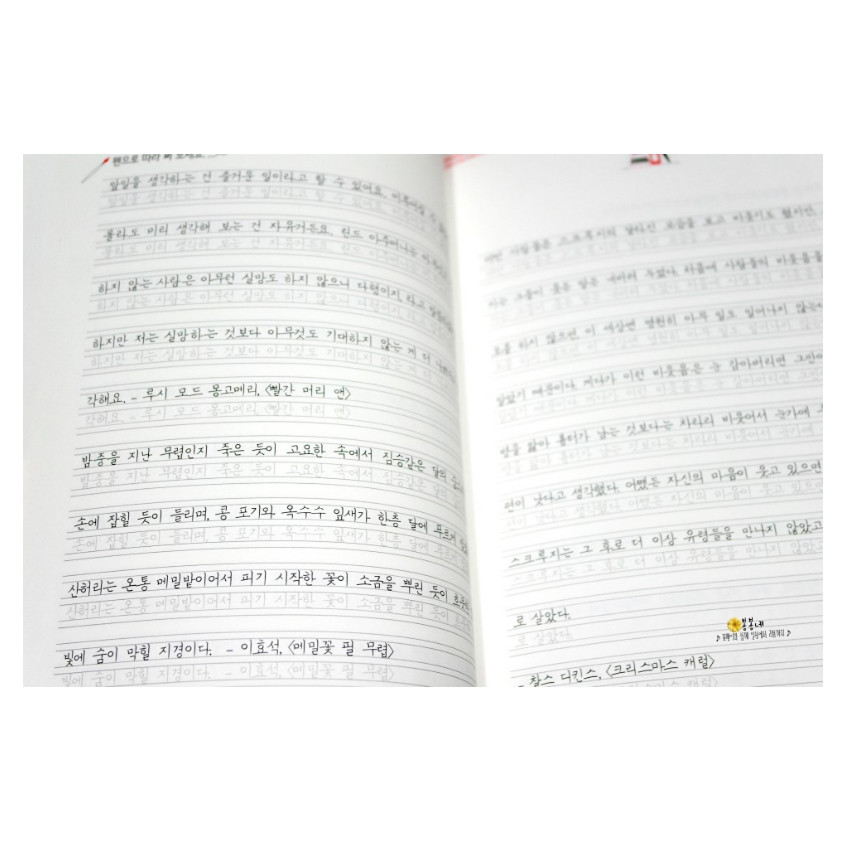 Corean Hangul Korean Practice Handwriting Cursive Text Workbook Self Study New
