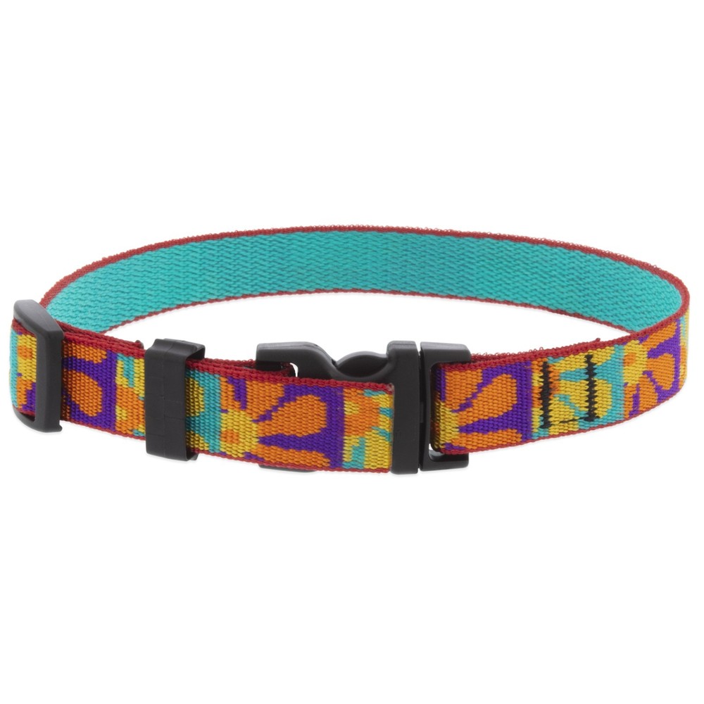 LupinePet Crazy Daisy Pattern e-Collar Dog Training Replacement Strap Durable