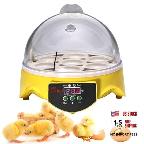 360° View 7-Egg Poultry Incubator for Hatching Chicken, Duck, Goose, Parrot,