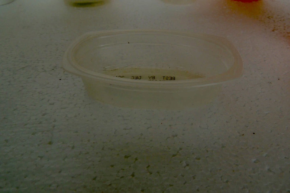 SMALL CLEAR EMPTY CONTAINER orange 35 pc 30 pc white + small clear